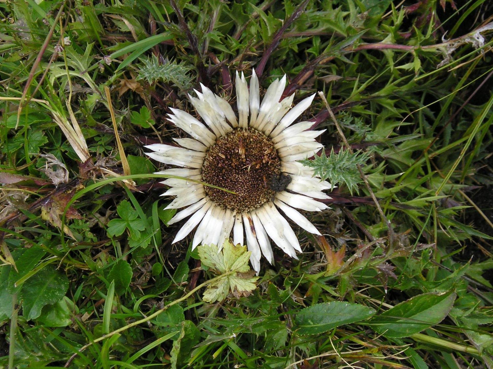 배드호프가스타인 Bauernhof Grussberggut 빌라 외부 사진
