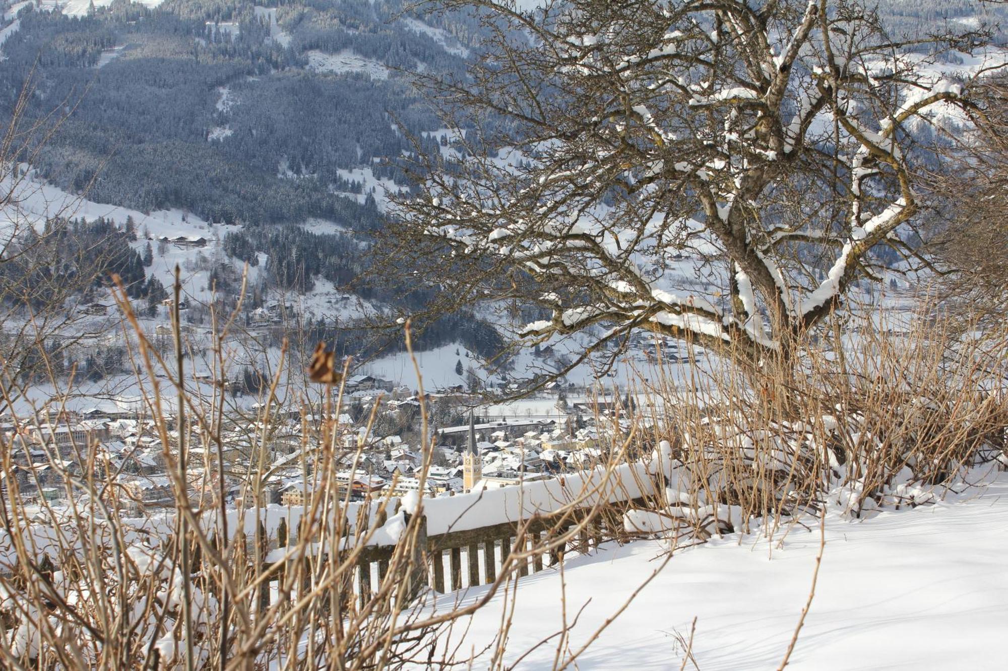 배드호프가스타인 Bauernhof Grussberggut 빌라 외부 사진